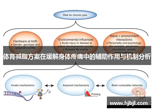 体育减脂方案在缓解身体疼痛中的辅助作用与机制分析